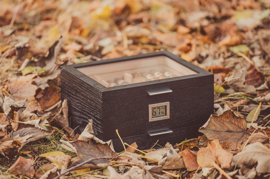 Beeinflusst das Klima Ihre Humidorbox?