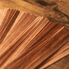 Spanische Zeder Spills - 120er Pack