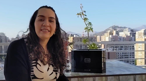 Cómo aumentar la humedad de su humidor durante los meses más fríos