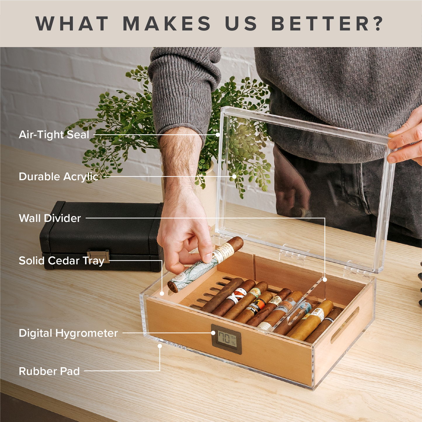 Felix Tupperdor - Acrylic Humidor