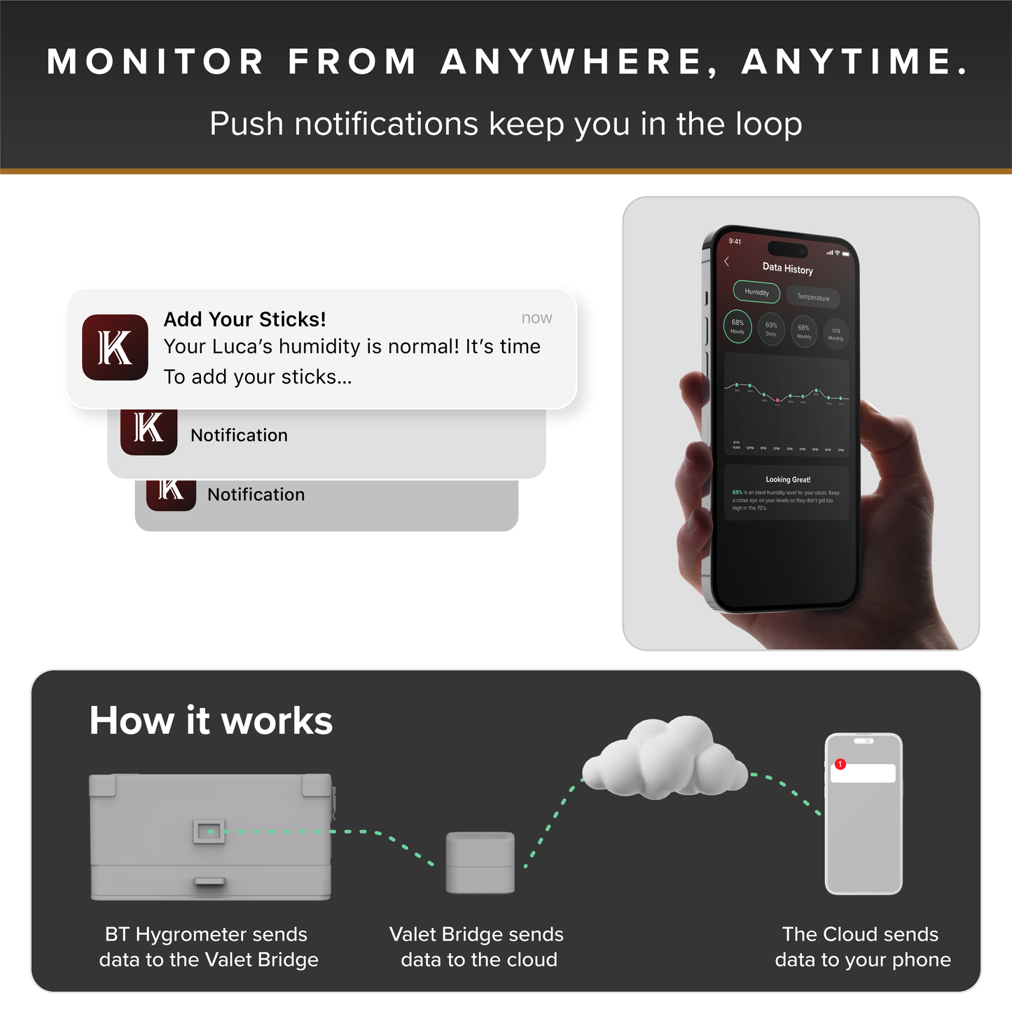 Luca Humidor Cabinet + Smart Valet