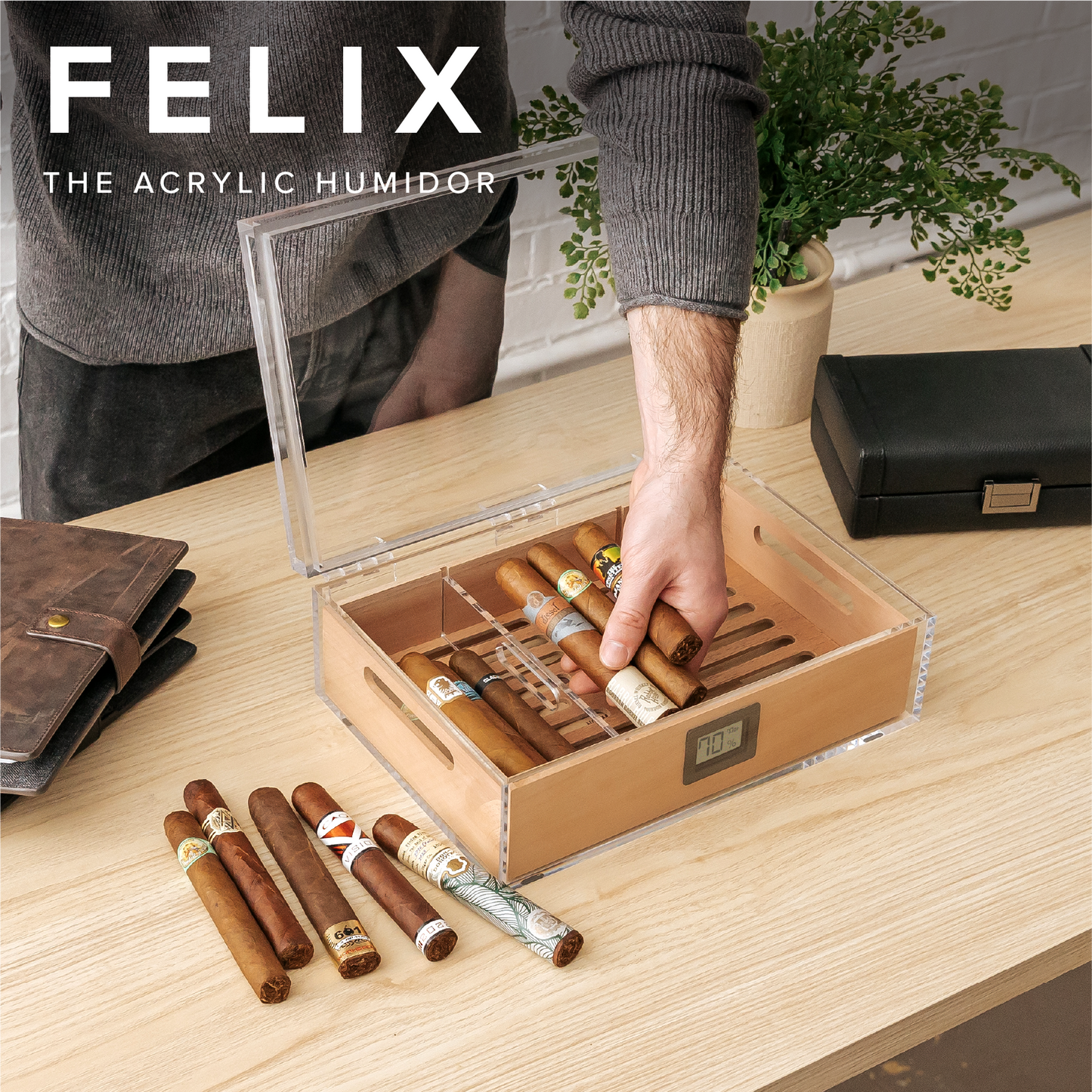 Felix Tupperdor - Acrylic Humidor