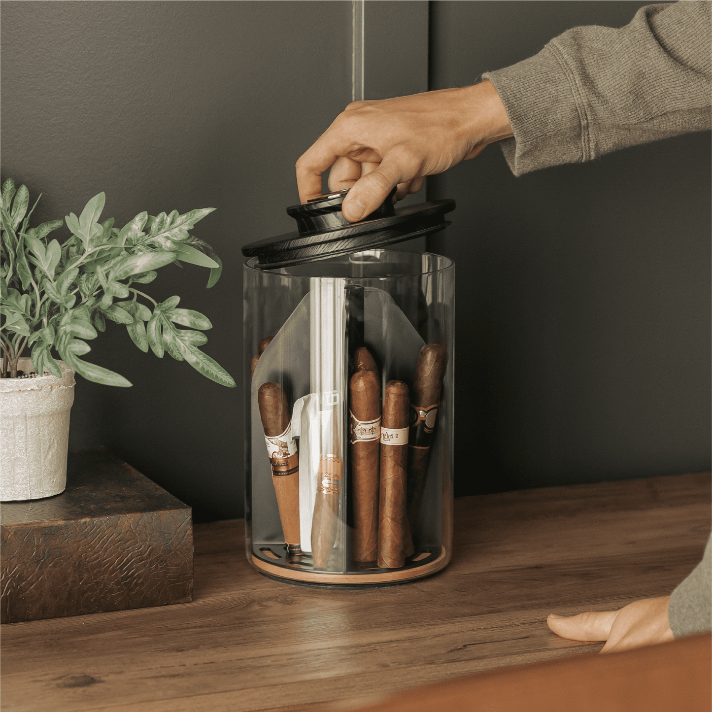 Cylindor Humidor - Glass Jar & Ashwood Lid