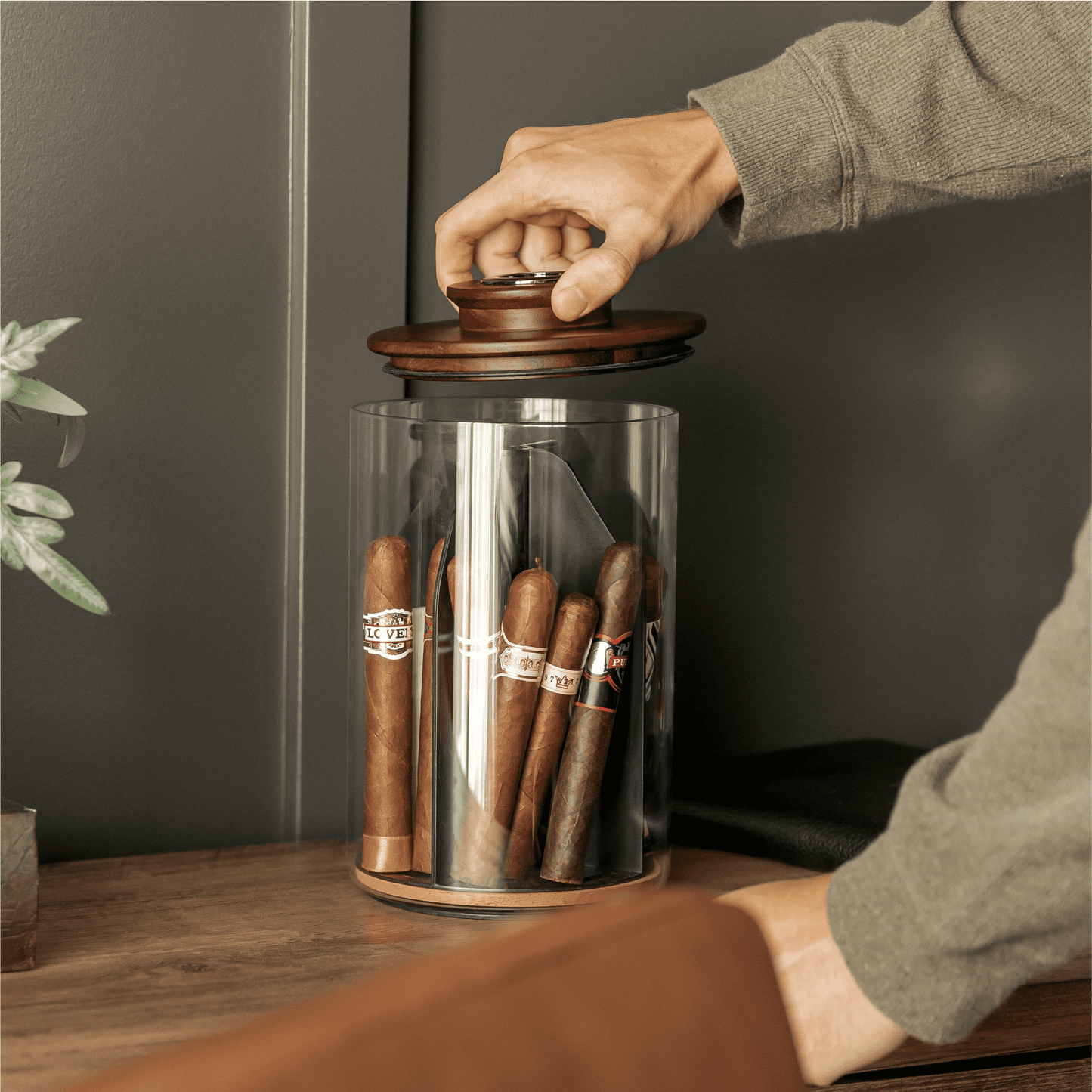 Cylindor Humidor - Glass Jar & Acacia Wood Lid