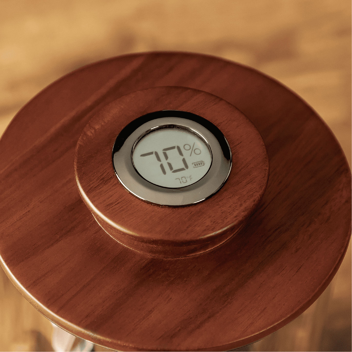 Cylindor Humidor - Glass Jar & Acacia Wood Lid