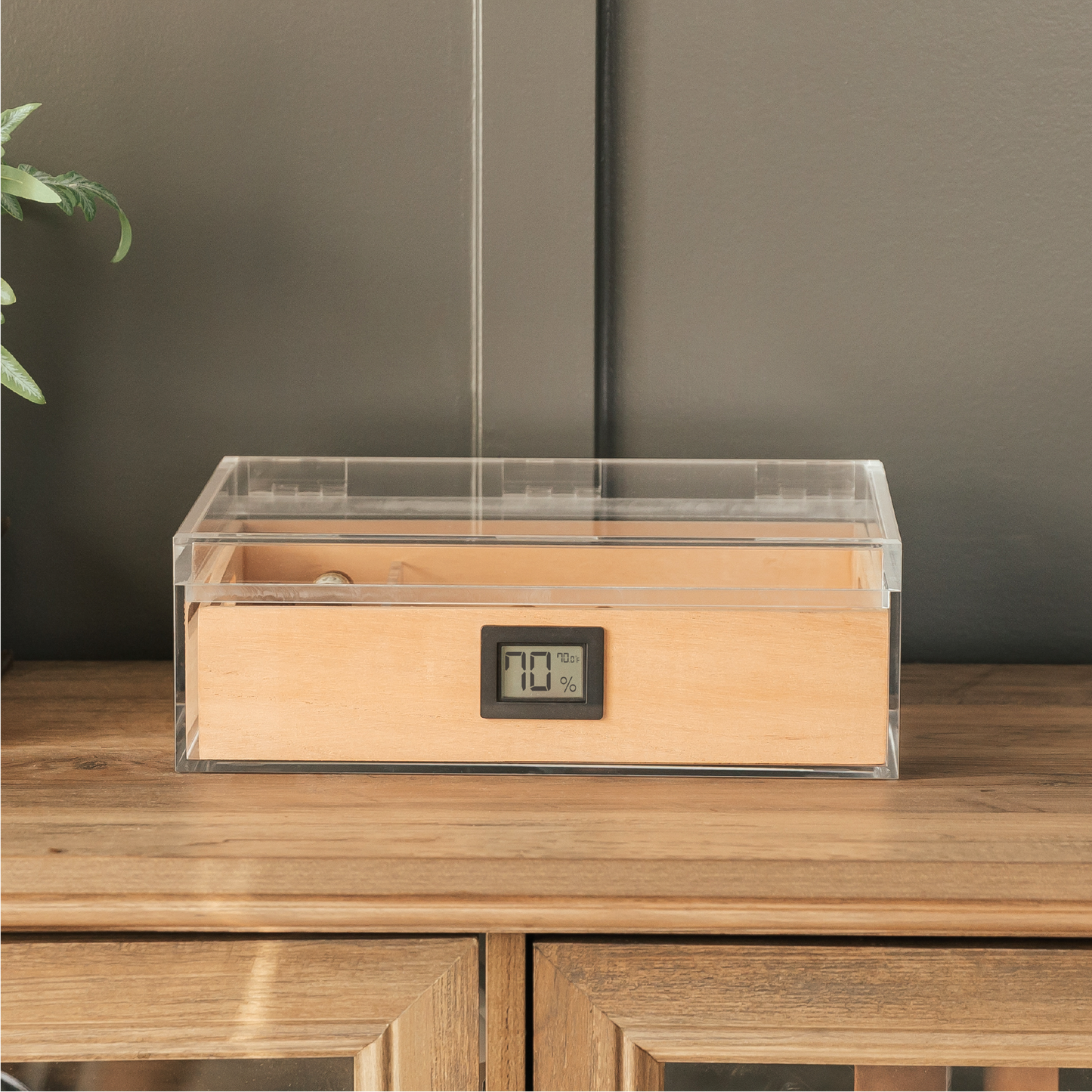 Felix Tupperdor - Acrylic Humidor
