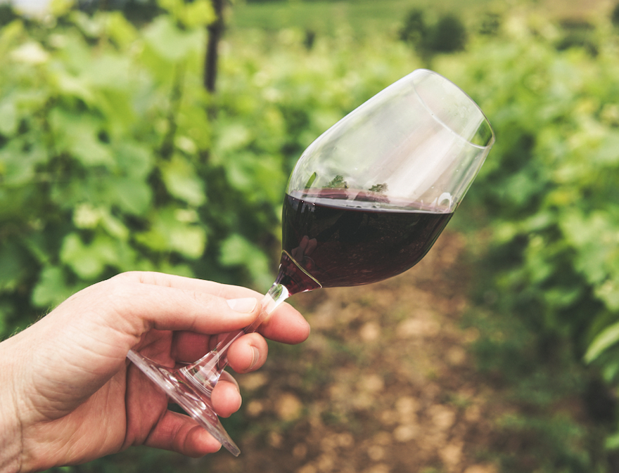 Cinco consejos para seleccionar el vino como regalo de acogida