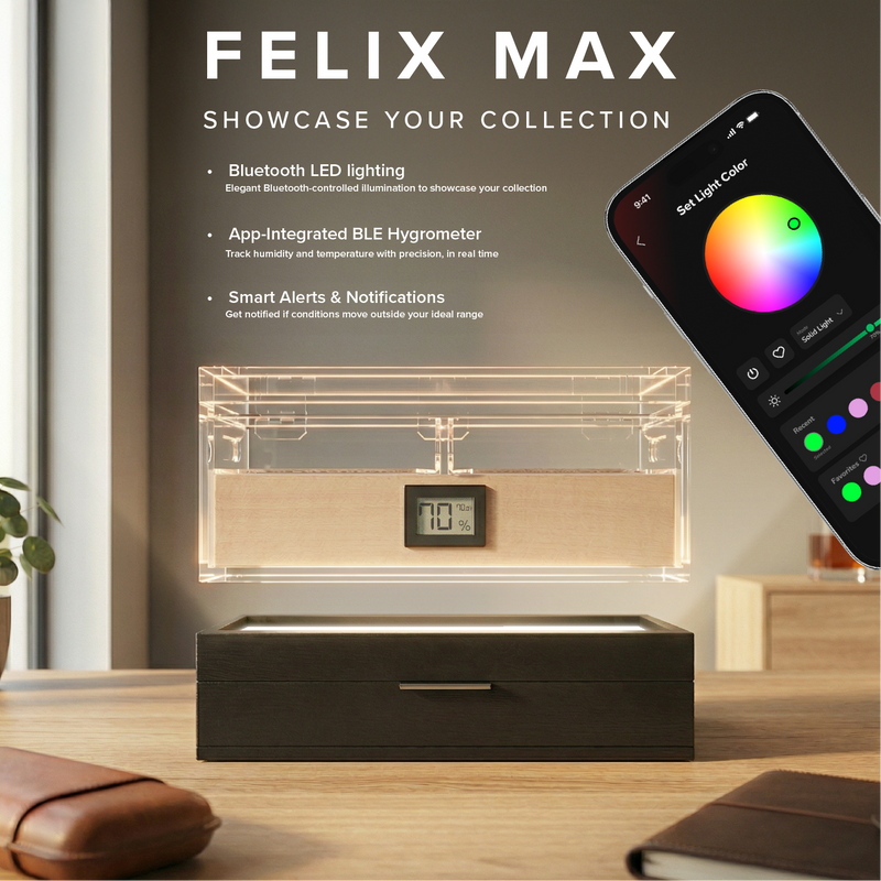 Felix Max Black