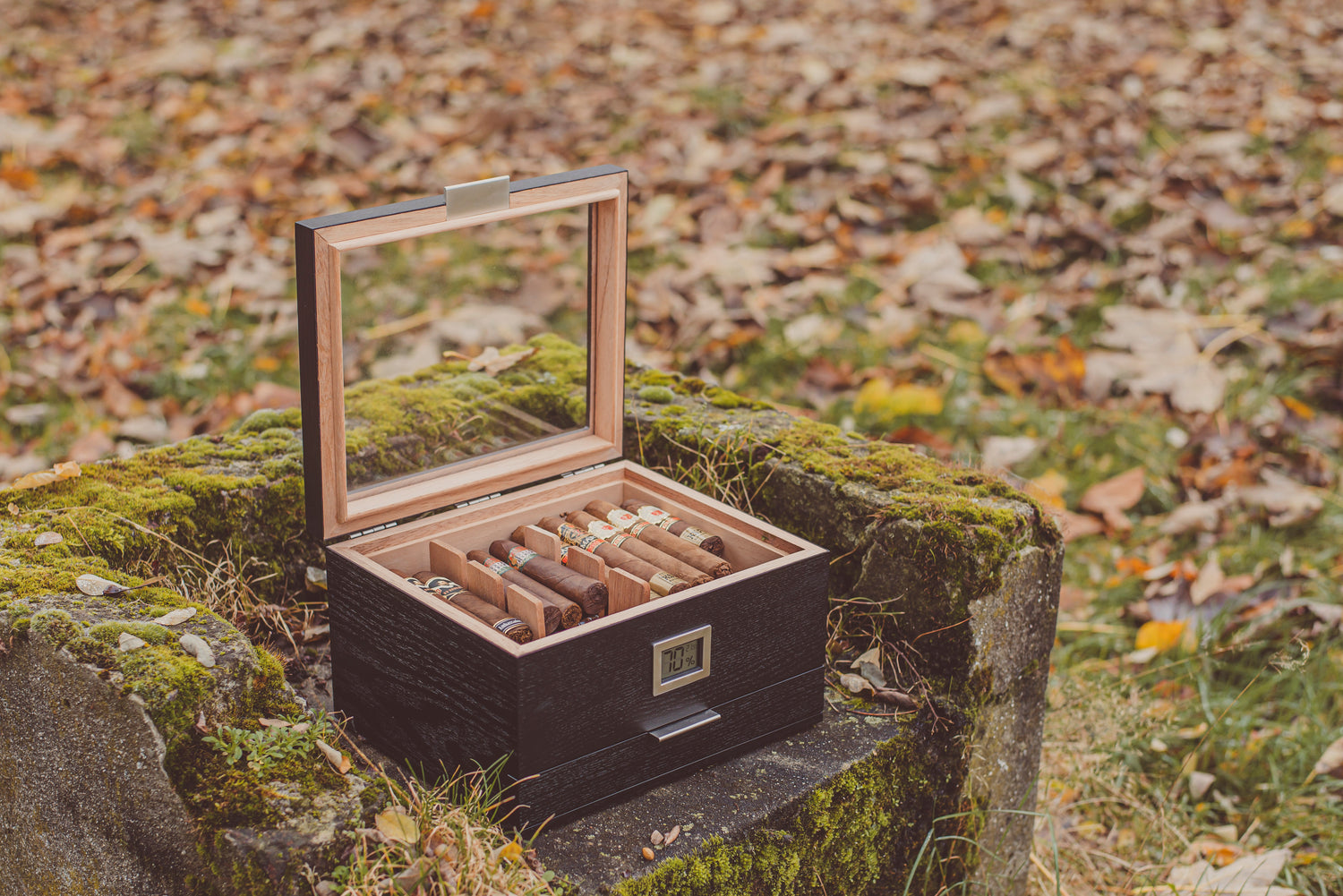 Boîtes à cigares en bois naturel