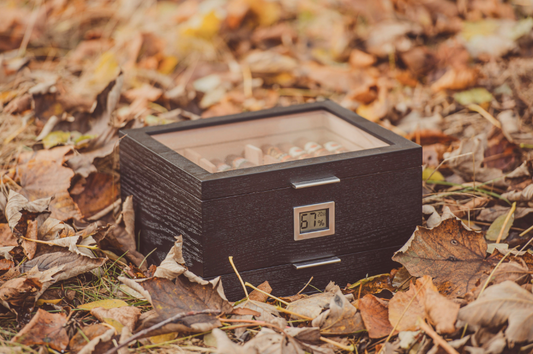Il clima influenza il tuo Humidor Box?