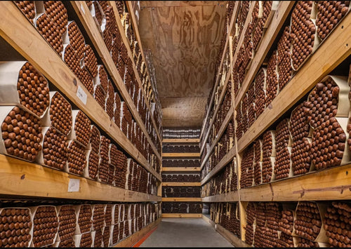 How Many Types of Cigars Are There?