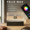 Felix Max Black