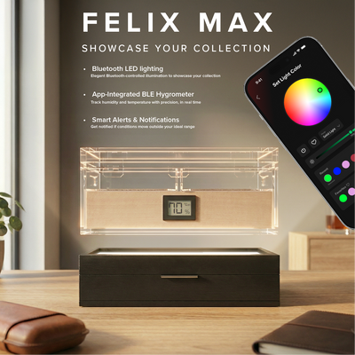 Felix Max Black