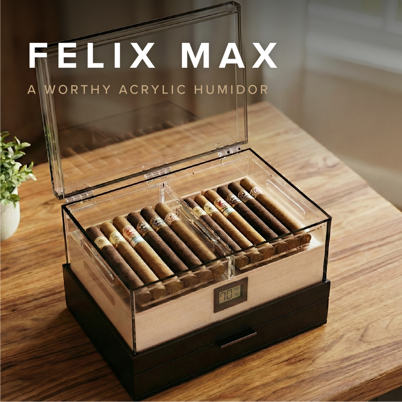 Felix Max Black