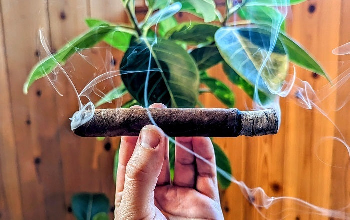 Benefits of Cigar Smoking