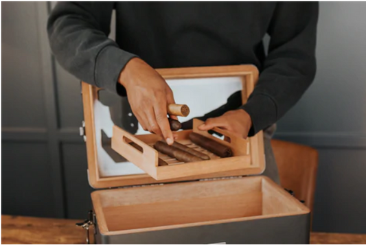 8 Things to Consider When Choosing a Humidor