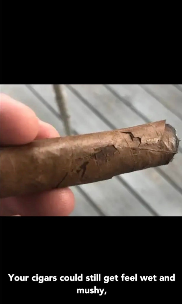 How temperature and humidity affect your cigars