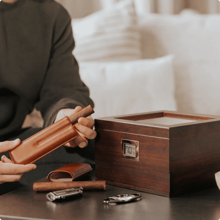 How to Organize Your Humidor: FIFO, Aging, Stacking, and More – Case  Elegance