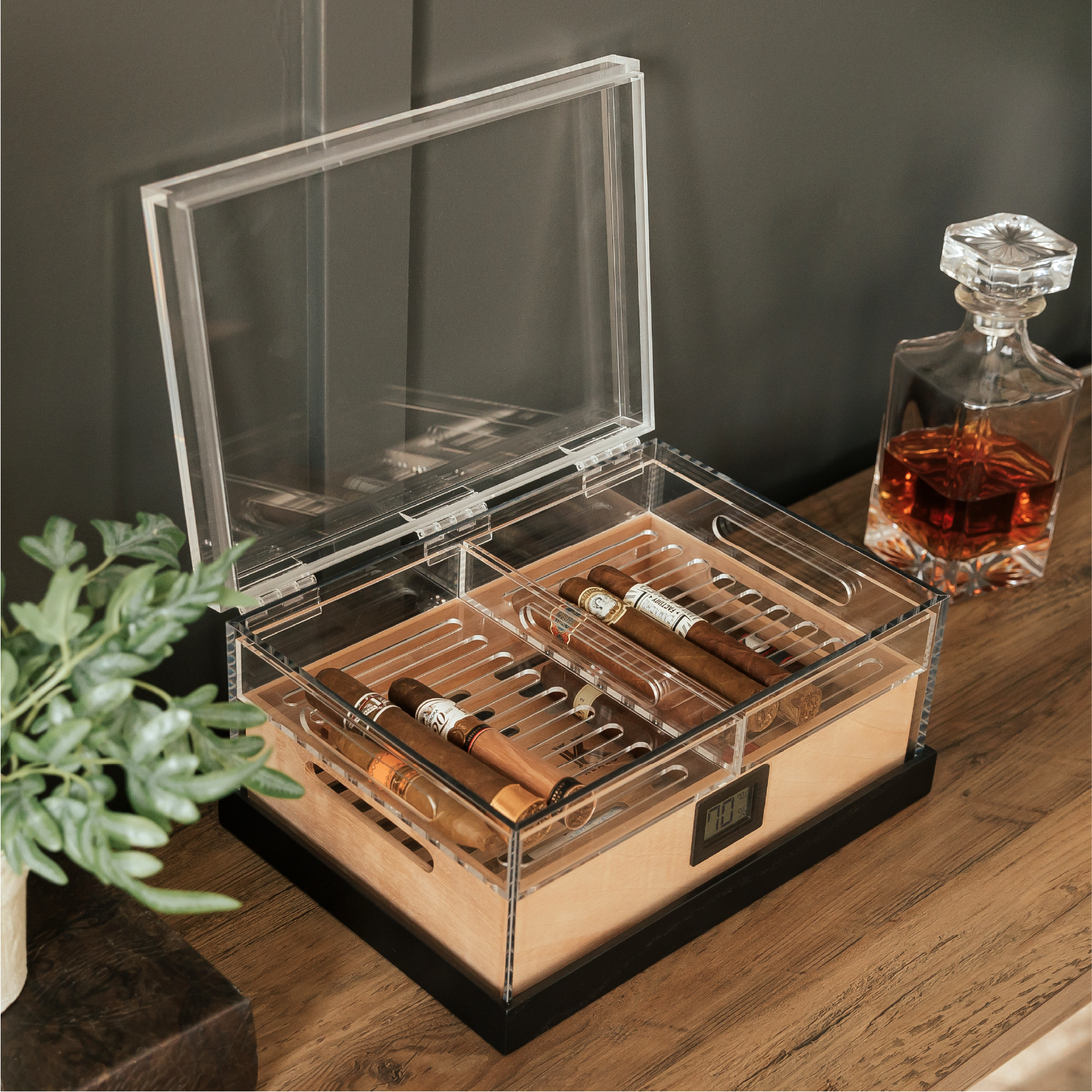 Felix Pro Tupperdor - Acrylic Humidor – Case Elegance